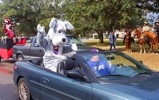 Maddie Joins Mardi Gras Pet Parade